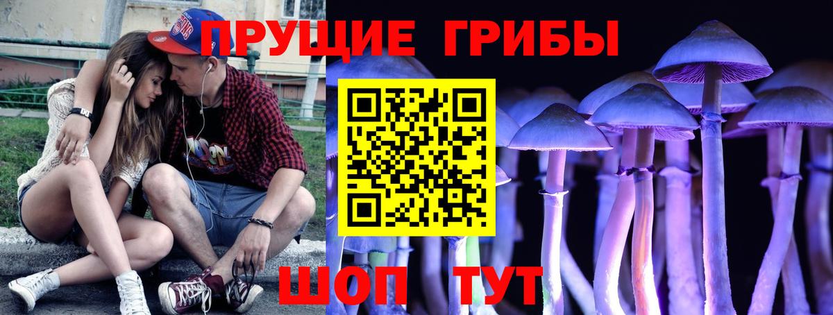 Псилоцибиновые грибы MAGIC MUSHROOMS  Псилоцибиновые грибы прущие грибы  Тайшет  Вход с VPN 